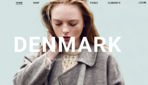 clothing brand seo sales case study