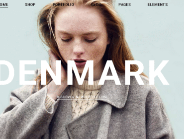 clothing brand seo sales case study