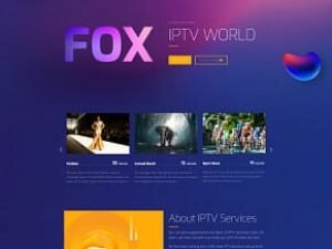 IPTV Digital Growth A Case Study in SEO Success Across France Europe