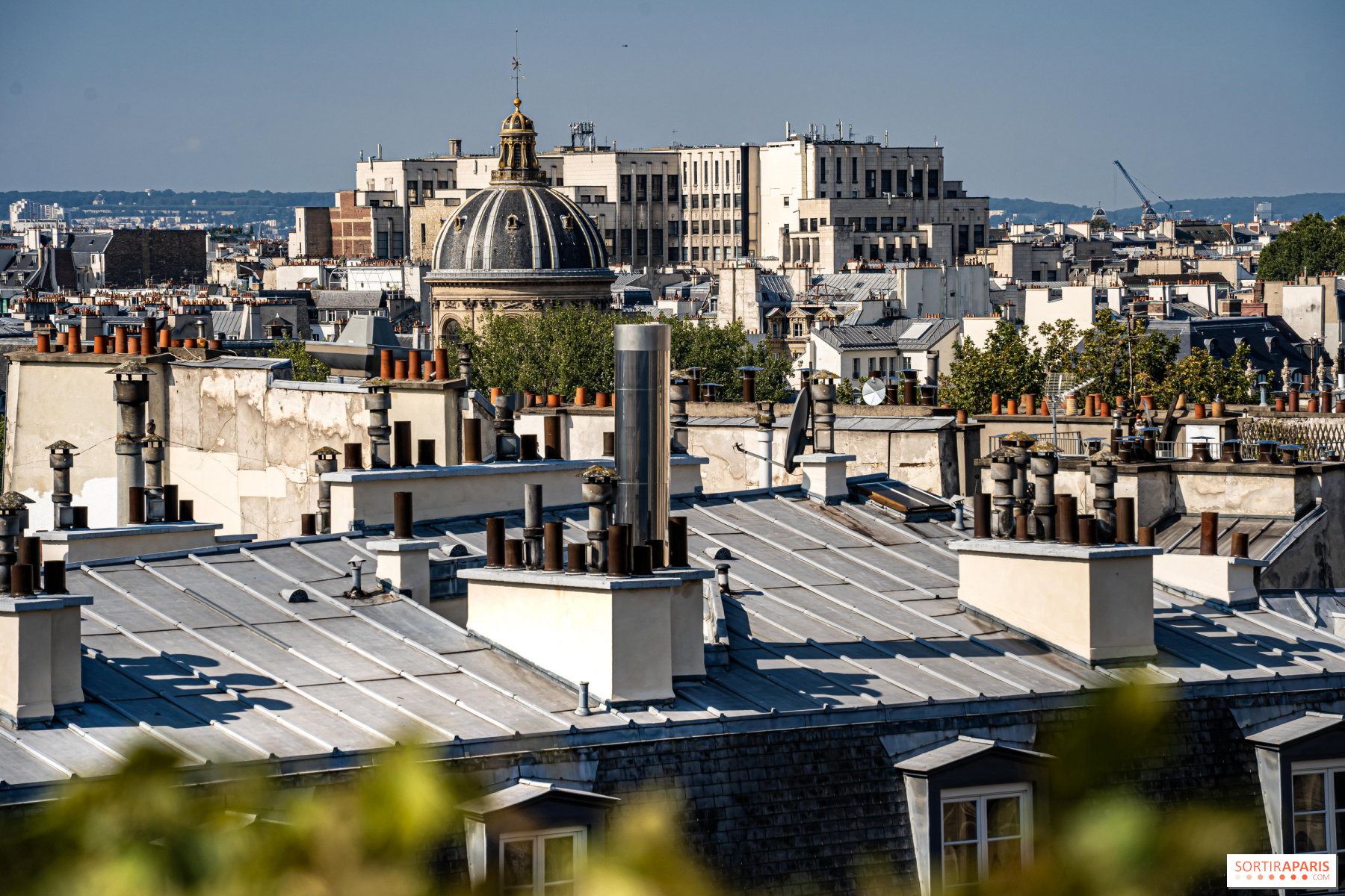 Paris real estate SEO